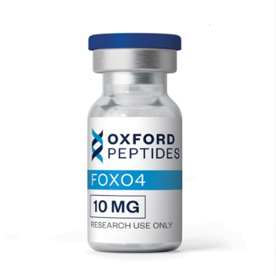 FOXO4